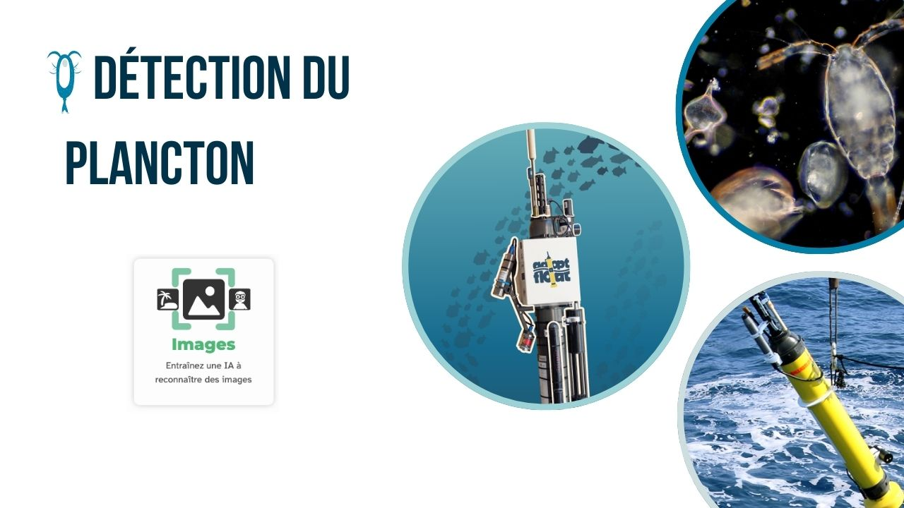 Illustration du tutoriel
